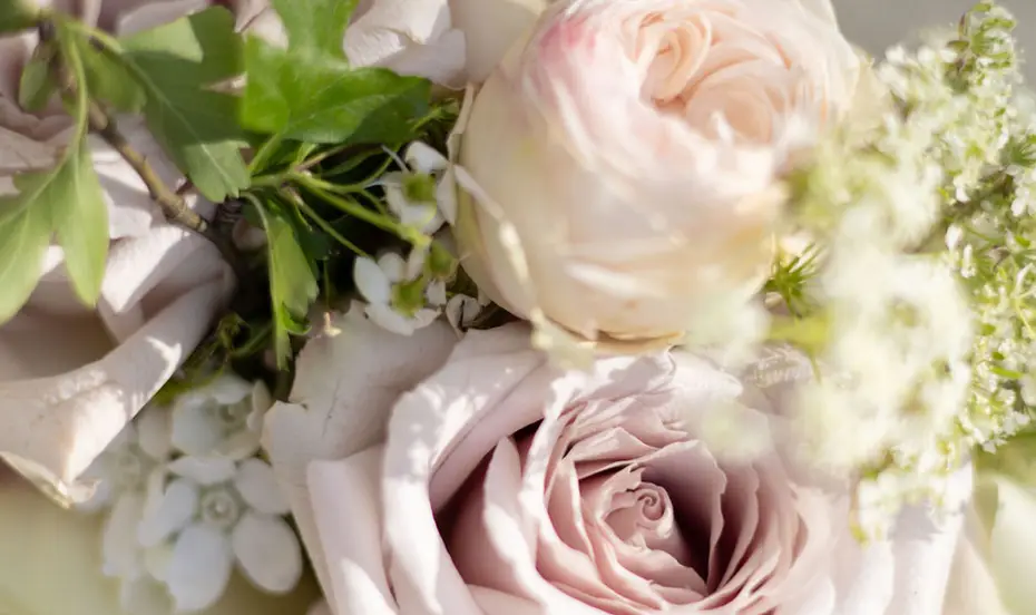Close-up of a bouquet of white and dusty pink roses among soft foliage