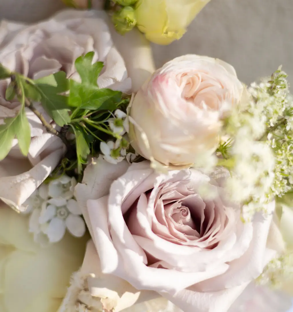 A close detail of a pale rose and blush blooms in a bridal bouquet.